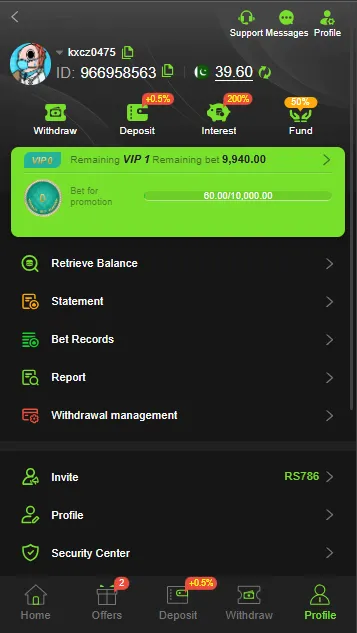 Profile Screen with multiple settings in game